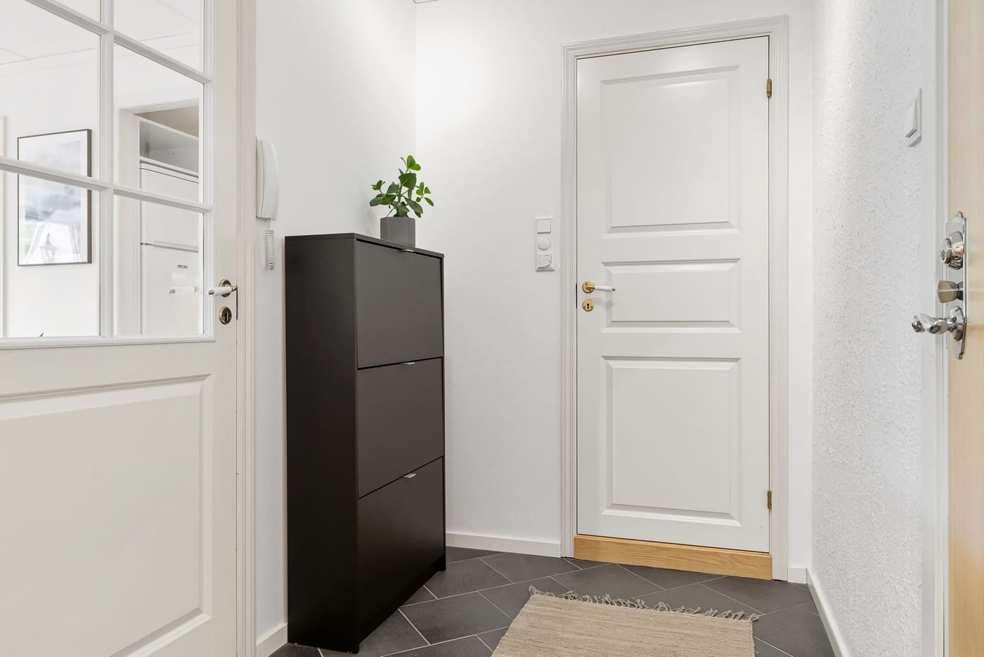 A tall black shoe cabinet standing beside a white interior door in a bright hallway
